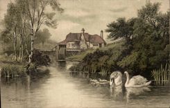 CPA Fantaisie Moulin a roues Cygne 