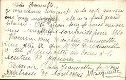 Flores del color de rosa de la fantasia de CPA