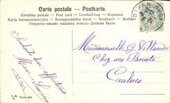 CPA Fantaisie Bonne annee Gui Fleurs 