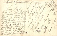 Flores de la fantasia de CPA