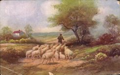 CPA Fantaisie Berger et moutons