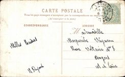 La fantasia de CPA florece variees de las anemonas