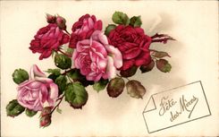 Flores de la fantasia de CPA