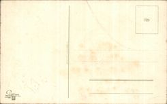 Flores de la fantasia de CPA