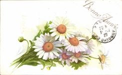 Flores de la fantasia de CPA