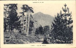 Corsica CPA Collar De Vergio Corsica