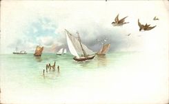 CPA Fantasy Boat Birds