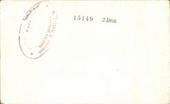 CPA Fantasy Boat Birds