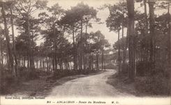 CPA Arcachon Route du Moulleau