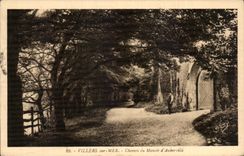 CPA Villers en el mar Chemen del senorio D Auberville