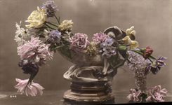 Flores de la fantasia de CPA