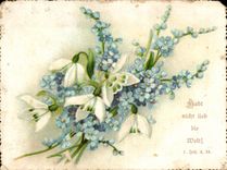 Flores de la fantasia de CPA