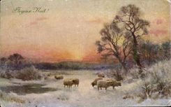 CPA Fantaisie Moutons Noel
