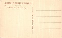 CPA Splendeurs Et Charmes De Versailles Les Grandes Eaux au Bassin de Neptune Yvon