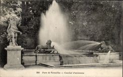 CPA Parc de Versailles Combat d'Animaux Lion