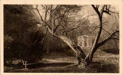 CPA Versailles petit Trianon Le Temple de la Musique