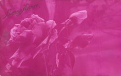 Flores de la fantasia de CPA