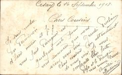 La fantasia de CPA florece rosas