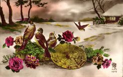 La fantasia de CPA florece pajaros