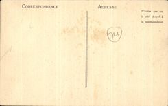 CPA the Large Hotel Of Mont Blanc