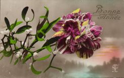 La fantasia de CPA florece el GUI