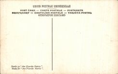 CPA Fantaisie Puvis de Chavannes Etude pour l'Ave Picardia Nutrix Musee d'Amiens