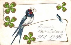 Trago del trebol de la fantasia de CPA