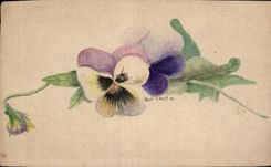 Flores de la fantasia de CPA