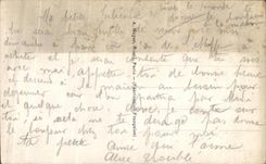 Flores de la fantasia de CPA