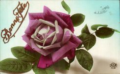 Flores de Rose de la fantasia de CPA