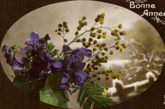 Flores de la fantasia de CPA