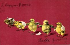 Felices polluelos de CPA Pascua