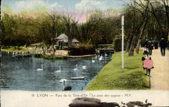 CPA Lyon Park Of the Gold Head the Corner Of the Swans