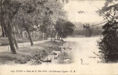 CPA Lyon Park Of the Gold Head the Corner To the Swans