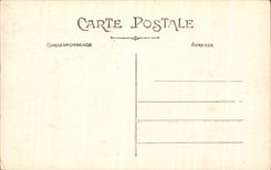 CPA Lyon Park Of the Gold Head the Corner To the Swans