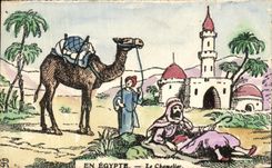 CPA En Egypte Le Chamelier Chameau