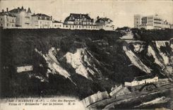 CPA Biarritz Cote Des Basques Villas Et Helianthe Sur La falaise