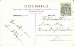 Flores y violetas del pensamiento de la fantasia de CPA