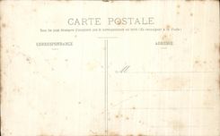 La fantasia de CPA florece algas del infante de marina de los sechees