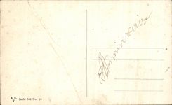 Flores de la fantasia de CPA