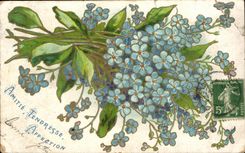 Flores de la fantasia de CPA