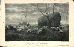 CPA Fantaisie Moutons Mazzetti Au pre