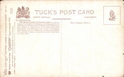 CPA The black forest of Schwarzland 