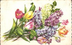 Flores de la fantasia de CPA