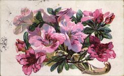 Flores de la fantasia de CPA