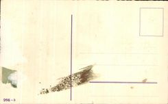 Flores de la fantasia de CPA