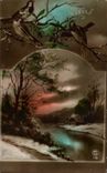 CPA Fantaisie paysage Oiseaux