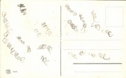 Flores de la fantasia de CPA