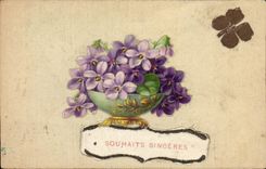 Flores de la fantasia de CPA