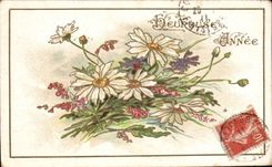 Flores de la fantasia de CPA